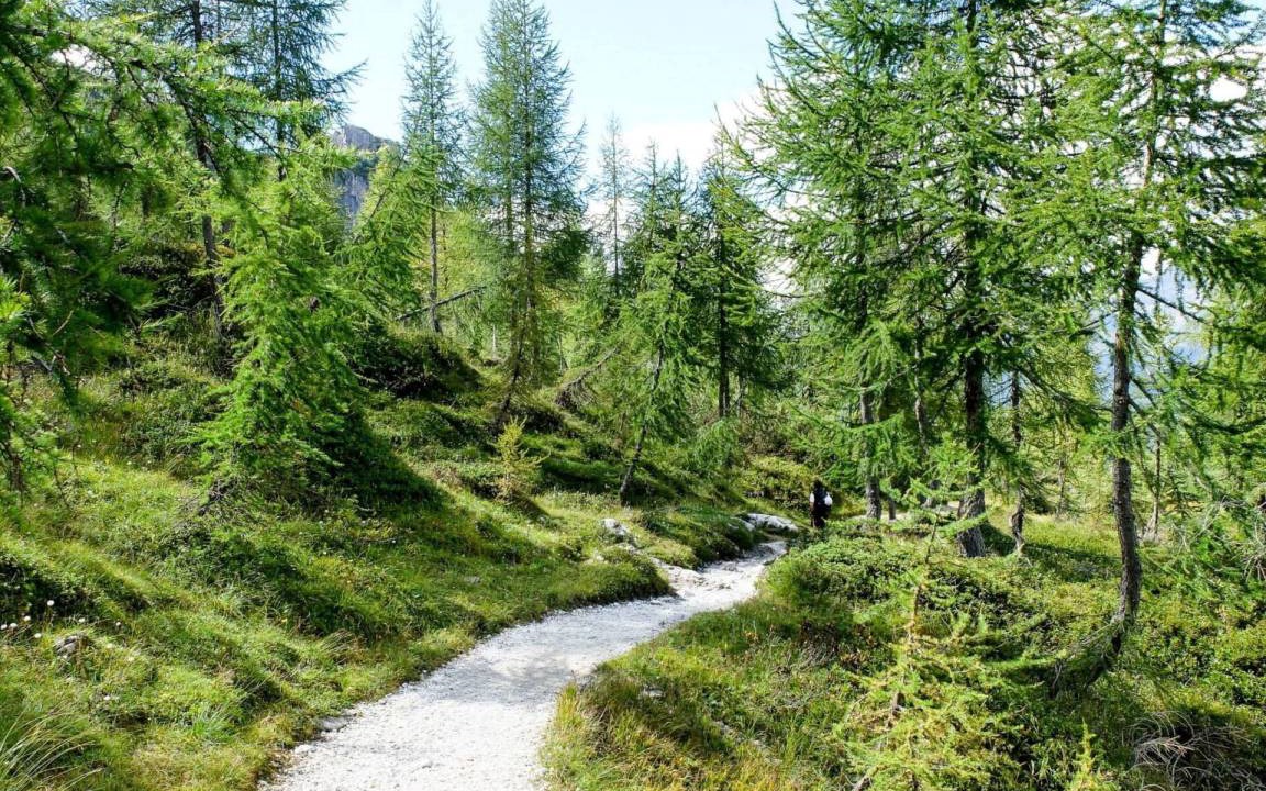 Photo of Others in Comano Terme