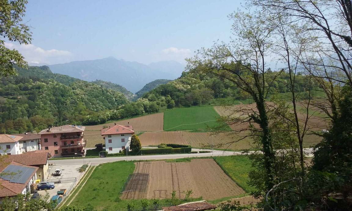 Photo of Others in Pannone