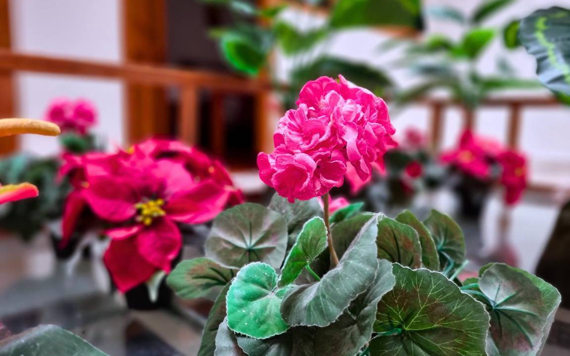 Photo of Others in Aguas Calientes