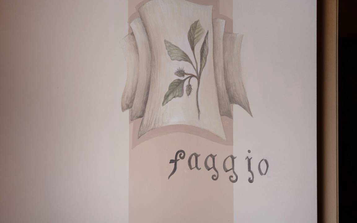 Photo of Others in Roncegno