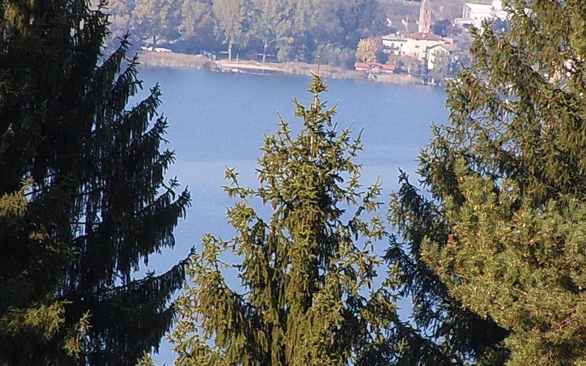 Photo of Others in Altopiano della Vigolana