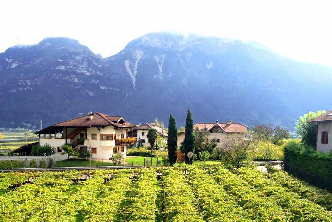 Photo of Others in Magre sulla Strada del Vino