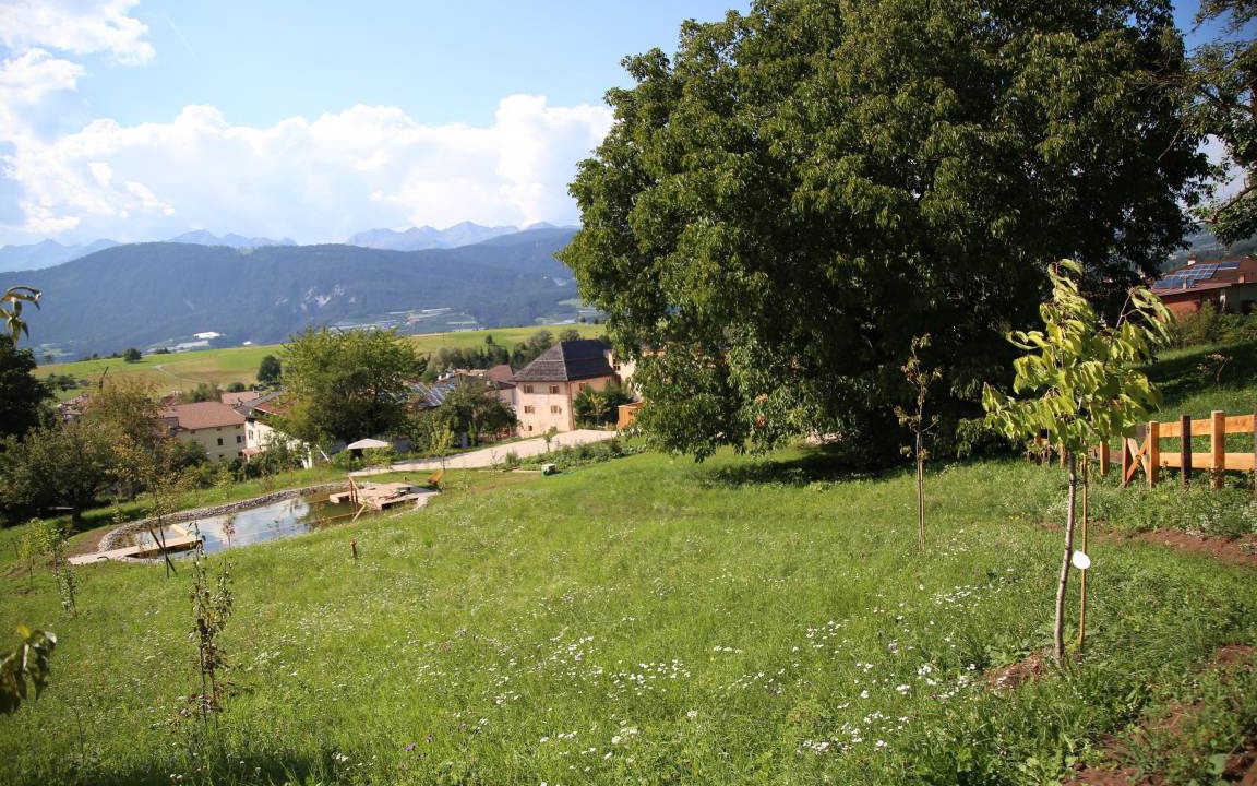 Photo of Others in Sarnonico