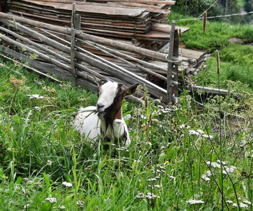 Photo of Others in San Nicola