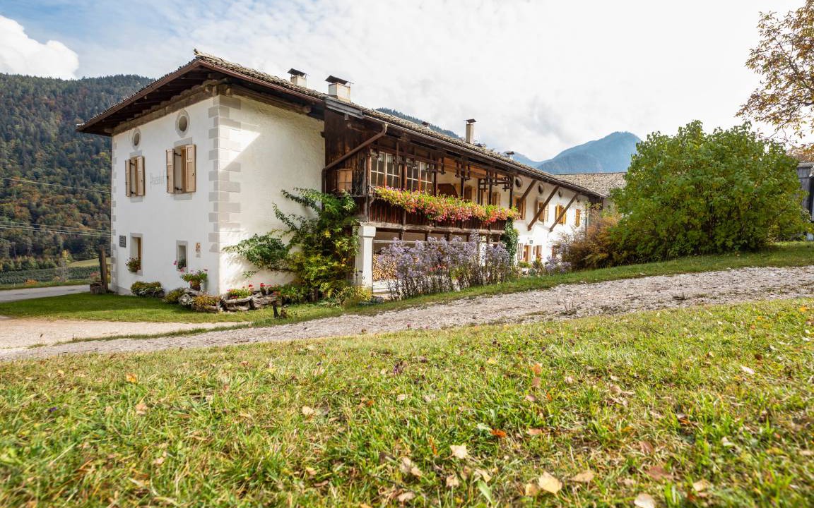Photo of Others in Montagna