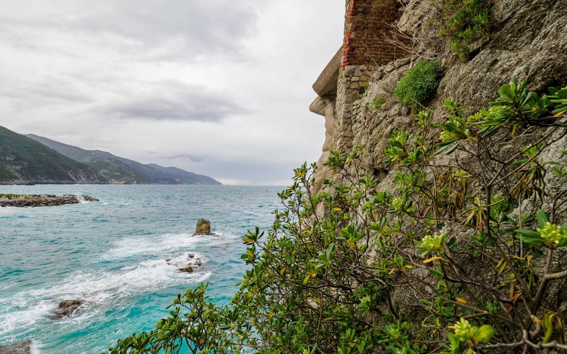 Photo of Others in Cinque Terre