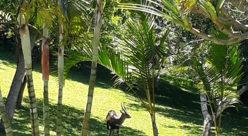 Photo of Others in St. Lucia