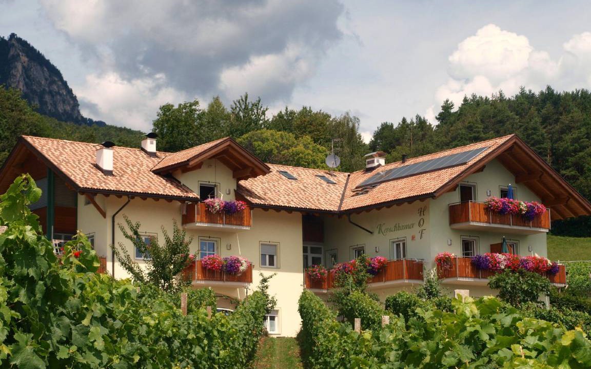 Photo of Others in Kurtatsch an der Weinstraße