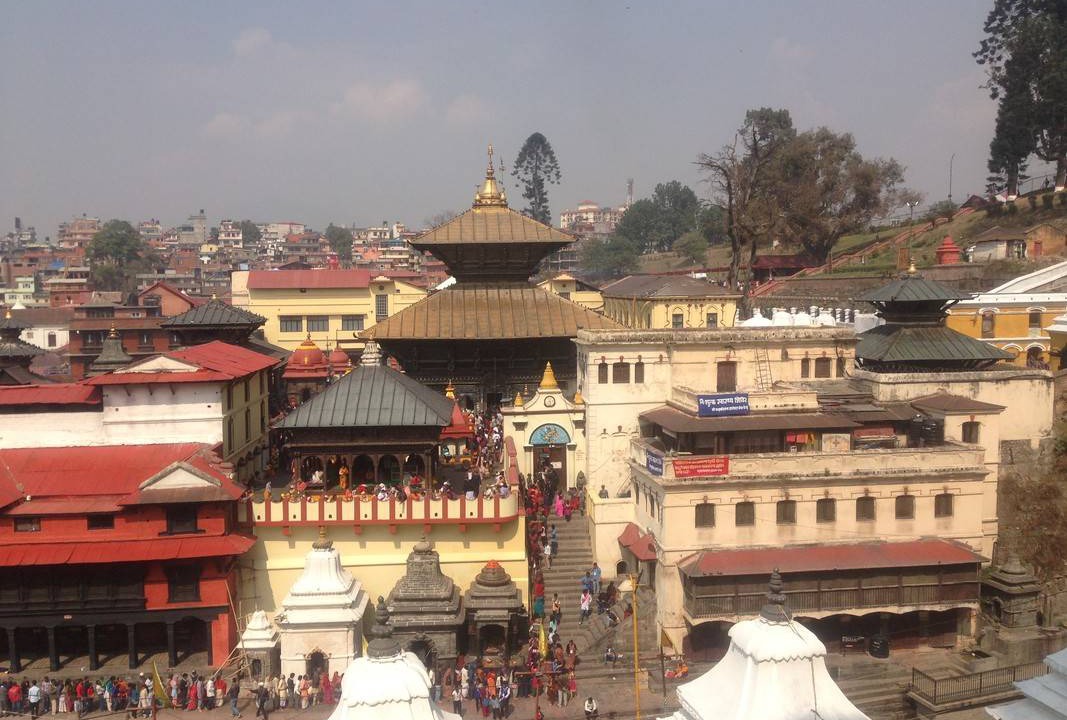 Photo of Others in Nagarjun