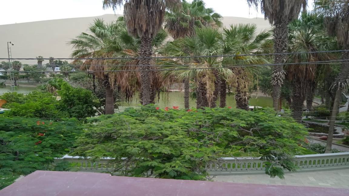 Photo of Others in Huacachina