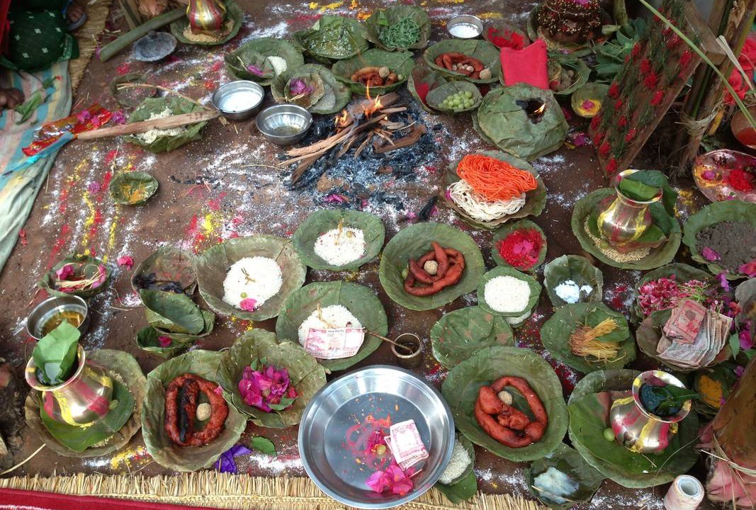 Photo of Others in Nagarjun