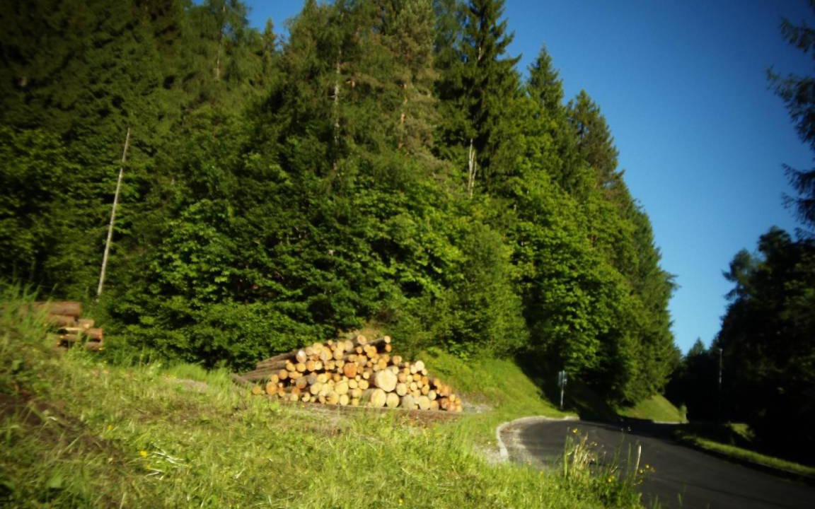 Photo of Others in Altopiano della Vigolana