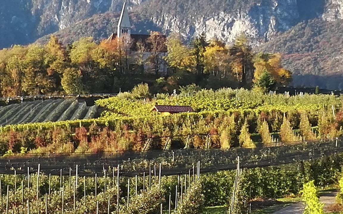 Photo of Others in Kurtatsch an der Weinstraße