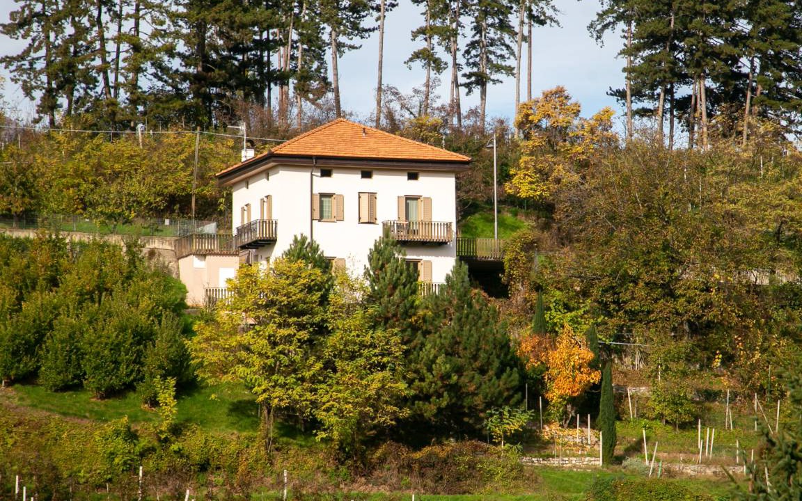 Photo of Others in Sanzeno