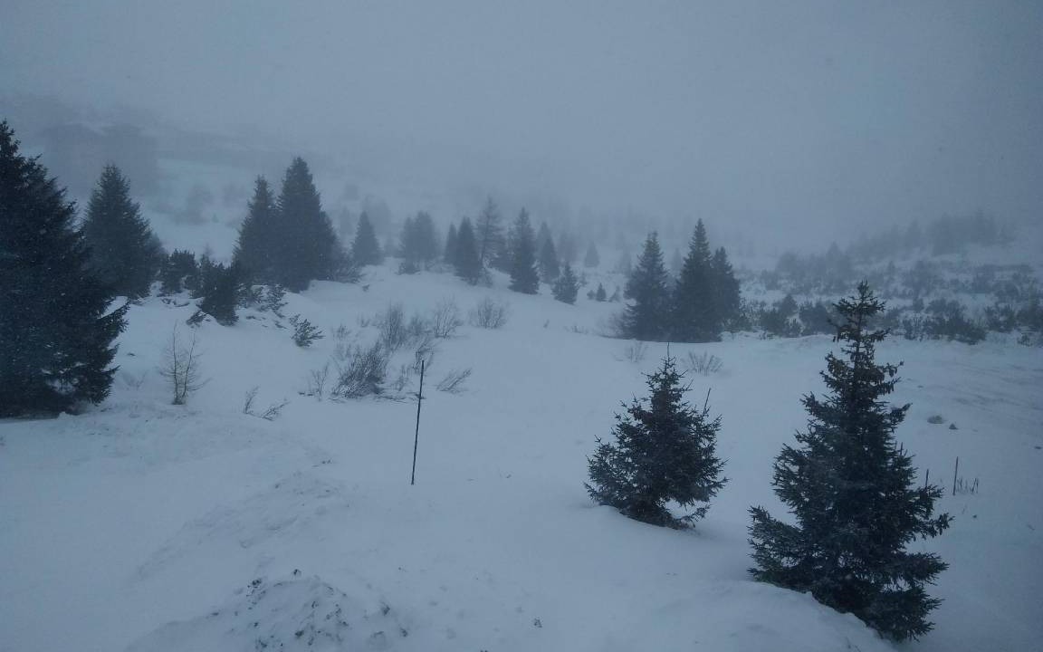 Photo of Others in Passo del Tonale