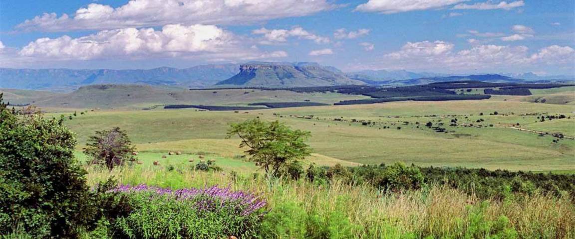 Photo of Others in Umtshezi