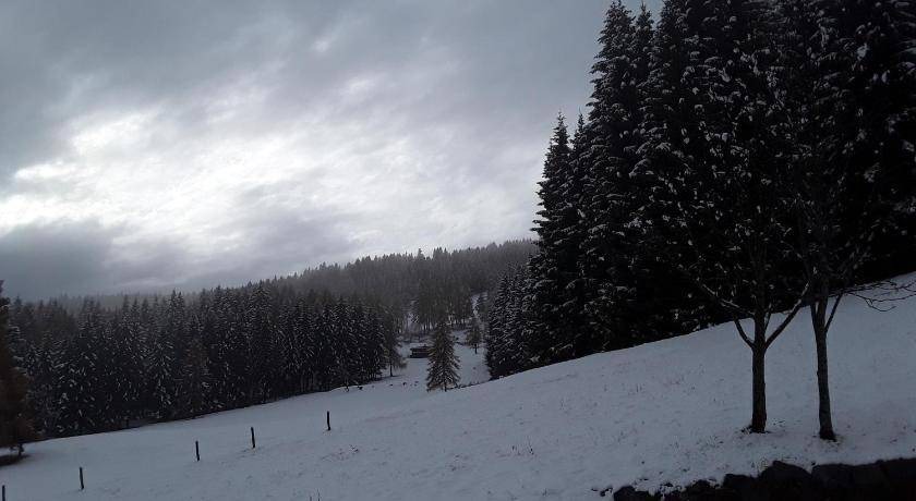Photo of Others in Telve