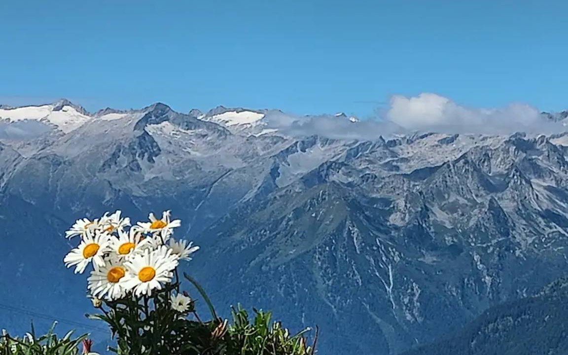 Photo of Others in Carisolo