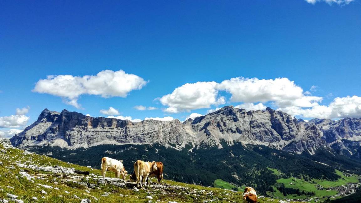 Photo of Others in Corvara in Badia