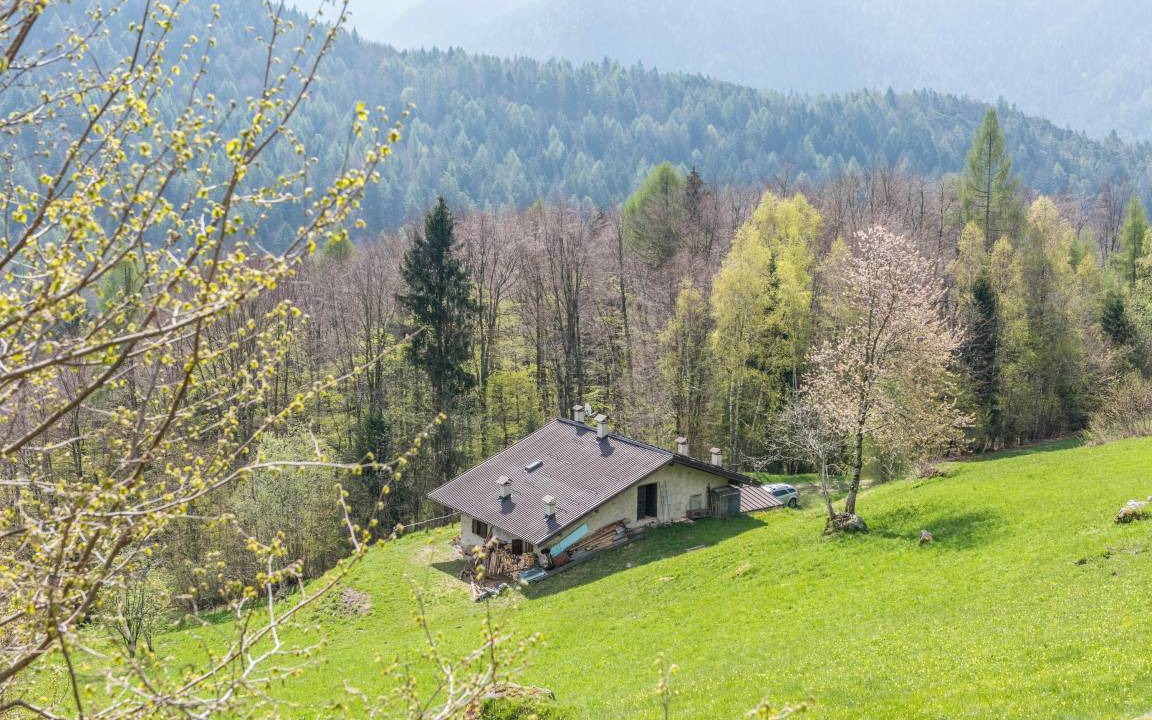 Photo of Others in Roncone