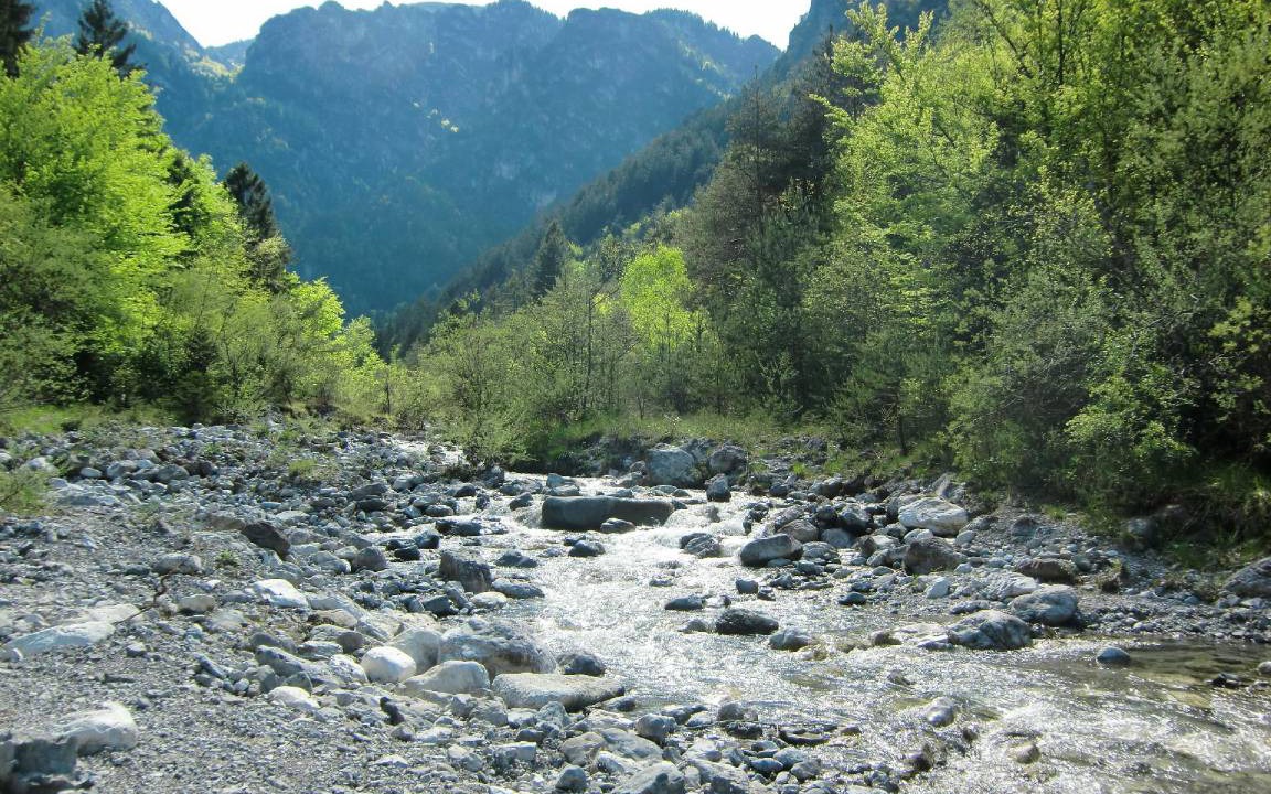 Photo of Others in Val Maria-Pur