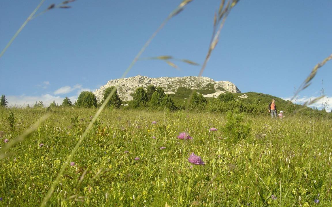 Photo of Others in Kurtatsch an der Weinstraße