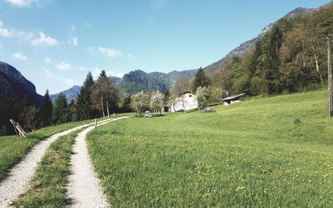 Photo of Others in Ledro