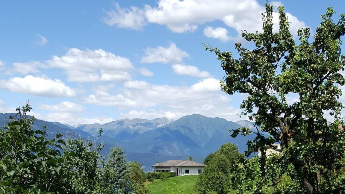 Photo of Others in Predaia