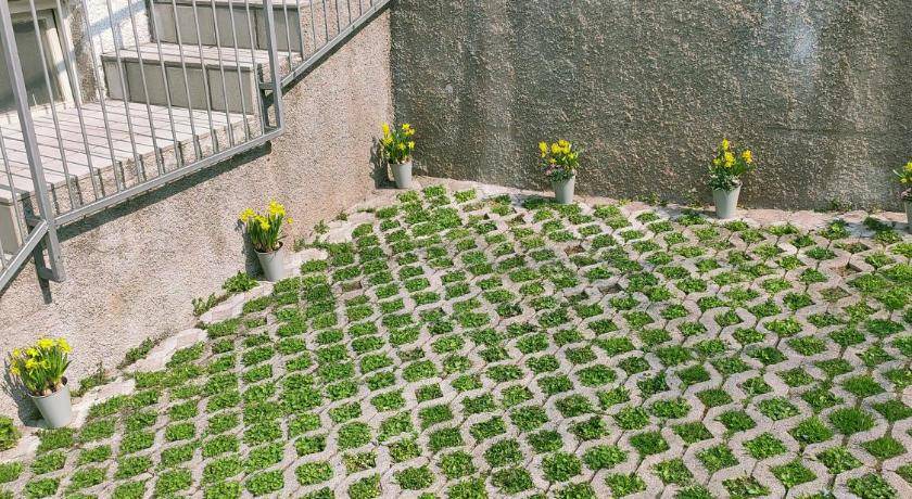 Photo of Others in Trento