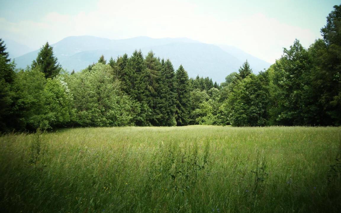 Photo of Others in Altopiano della Vigolana