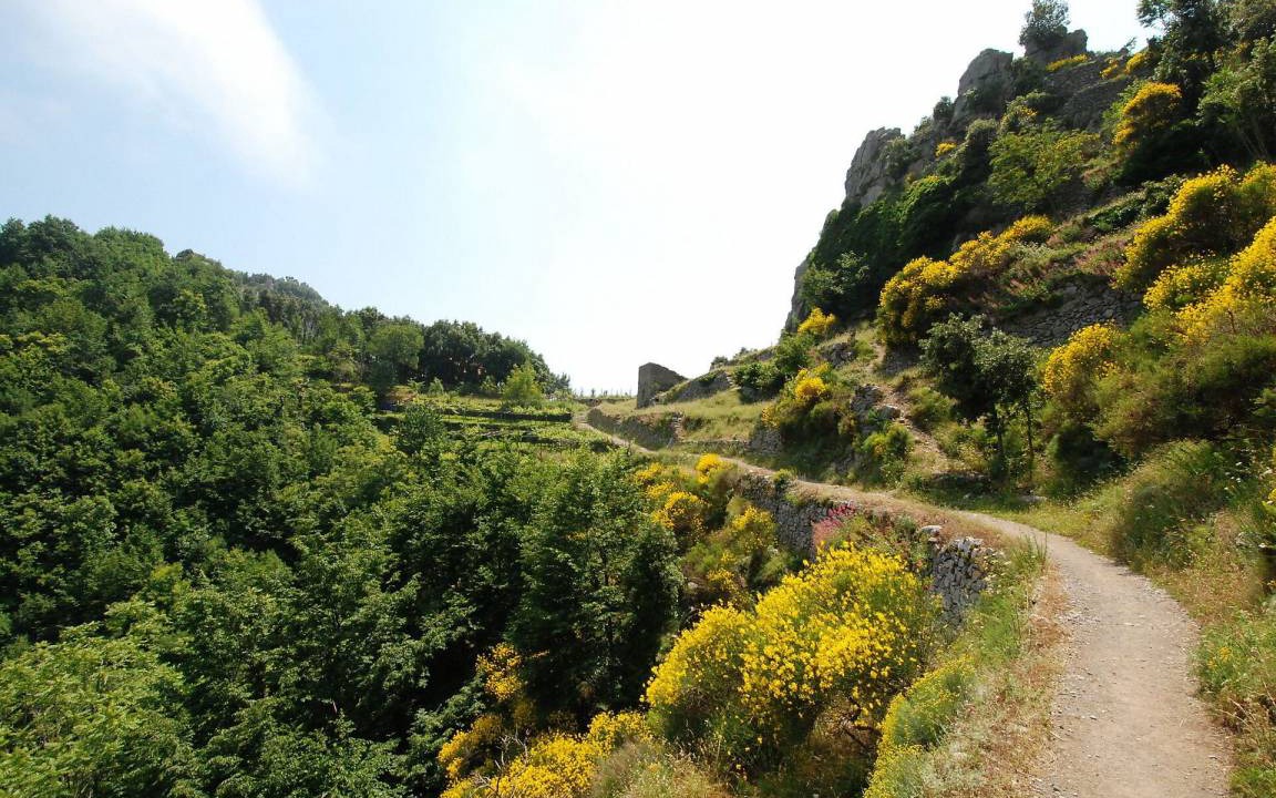Photo of Others in Agerola