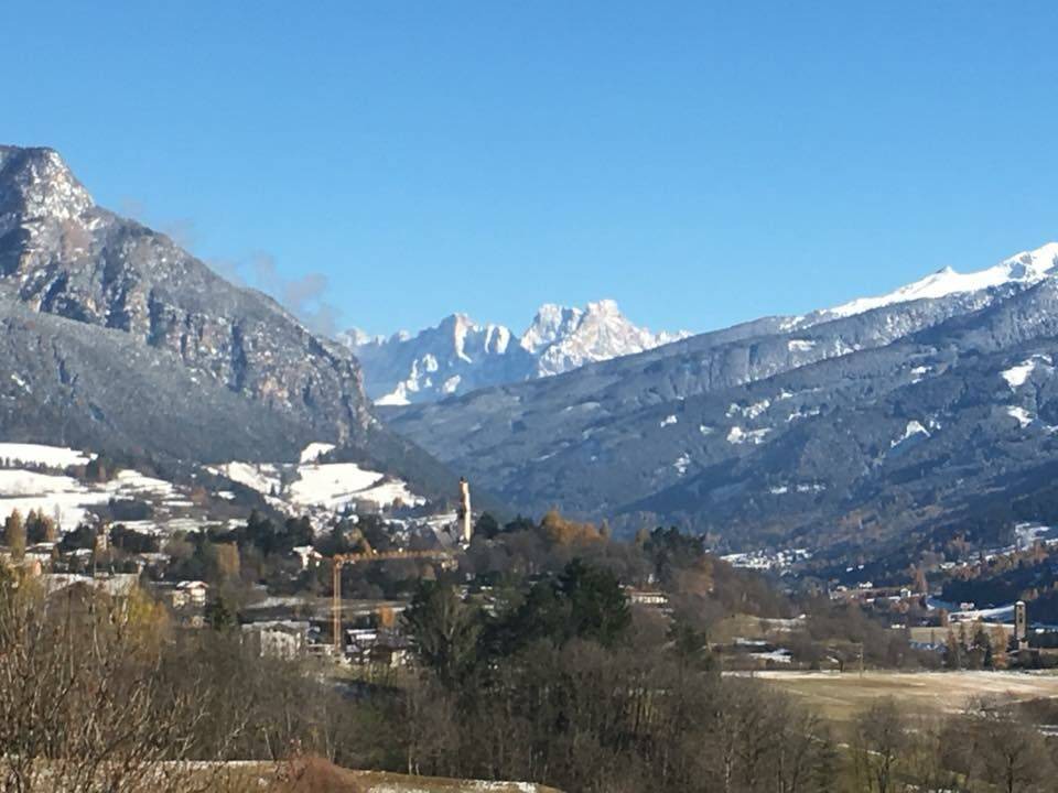 Photo of Others in Castello-Molina di Fiemme