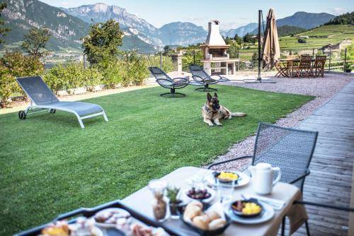 Photo of Patio Balcony in Mattarello
