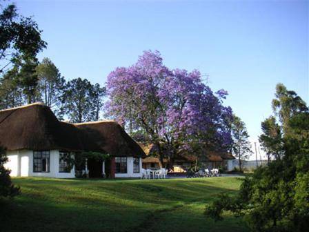 Photo of Others in Umtshezi