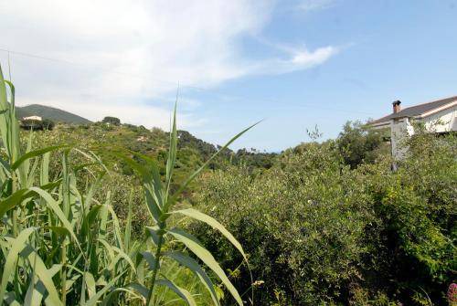 Photo of Others in Cinque Terre