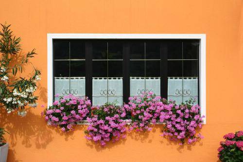 Photo of Patio Balcony in Vallarsa