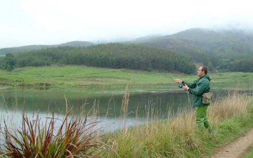 Photo of Others in Karkloof Nature Reserve