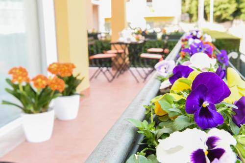 Photo of Patio Balcony in Arco