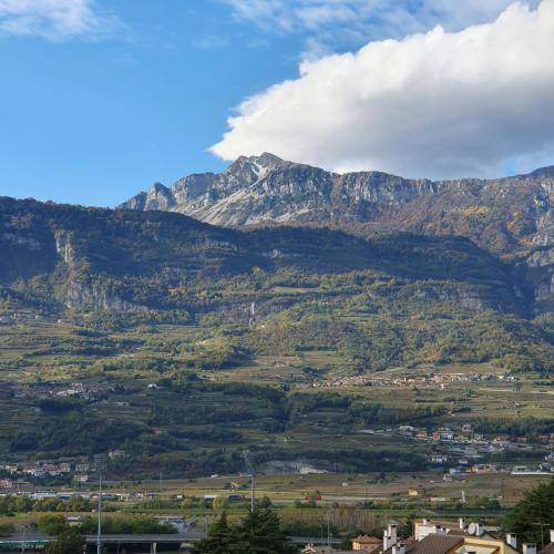 Photo of Others in Rovereto