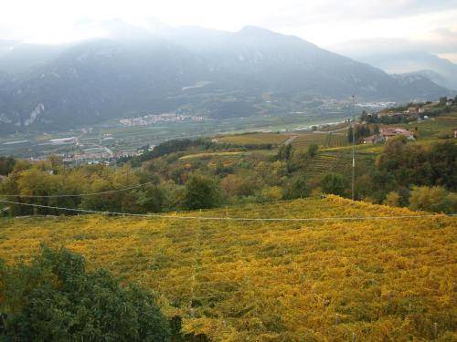 Photo of Others in Mattarello