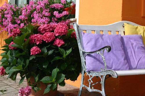 Photo of Patio Balcony in Vallarsa