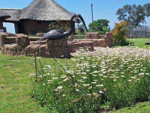 Photo of Others in Umtshezi