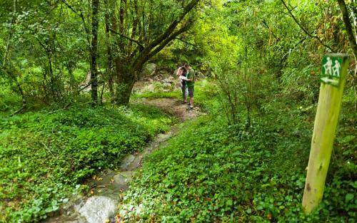 Photo of Others in Karkloof Nature Reserve