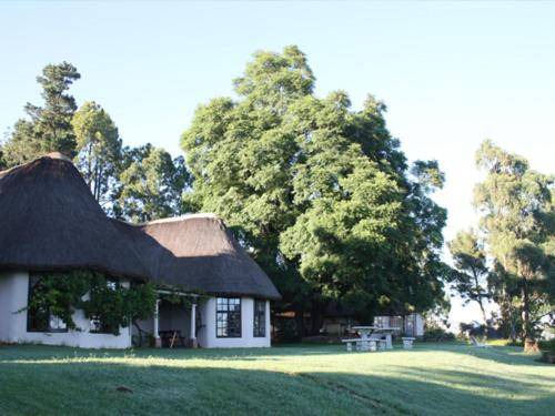 Photo of Others in Umtshezi