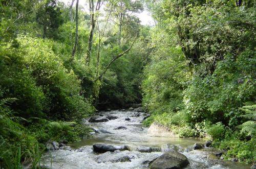 Photo of Others in Karkloof Nature Reserve