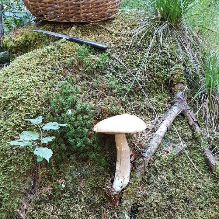 Photo of Others in Ledro