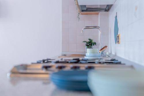 Photo of Kitchen in Ponte Arche