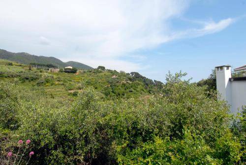 Photo of Others in Cinque Terre