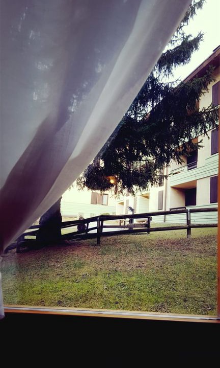 Photo of Others in Giustino