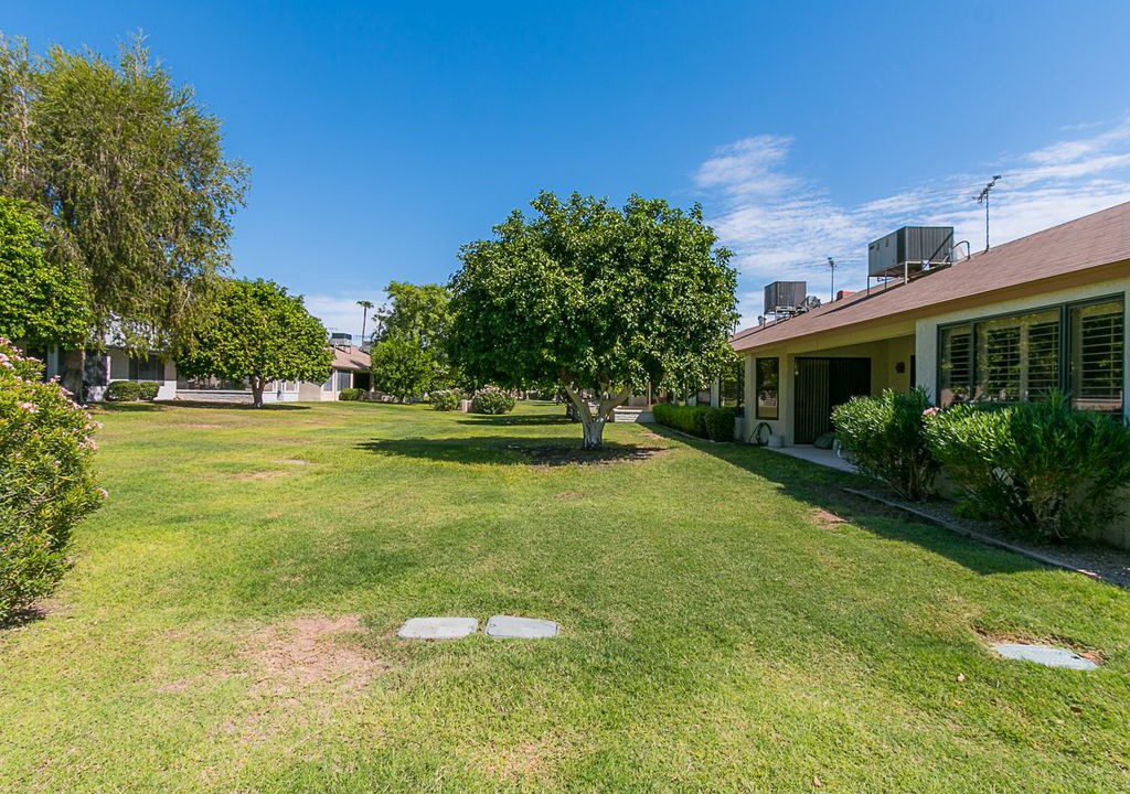Photo of Buildings in Sun City West